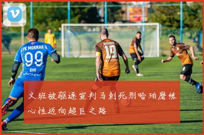 文班被驱逐宣判马刺死刑哈珀磨练心性迈向超巨之路